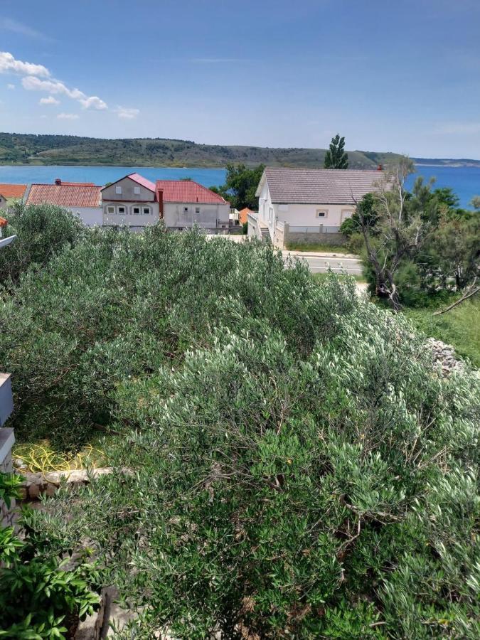 Apartmani Branka Rtina Esterno foto